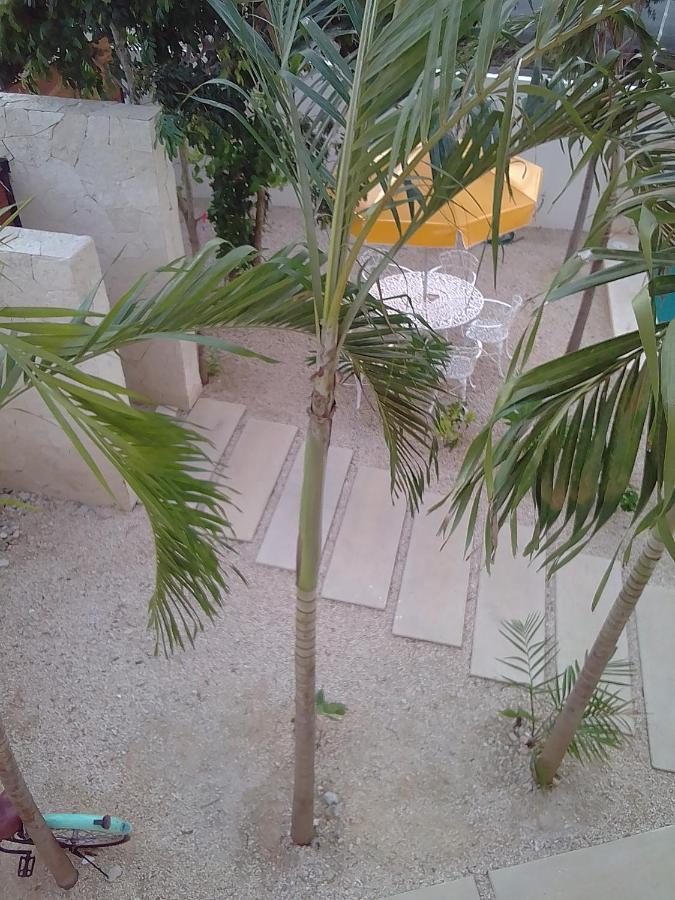 טולום Posada Tumben Ka'A מראה חיצוני תמונה